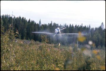 Vesakkomyrkytysten puolustajat perustelivat toimintaa erityisesti kustannustehokkuudella. Kuvassa torjunta-ainetta levitetään taimikkoon Metsähallituksen maalla Parkanossa vuonna 1975. (Kuvaaja: Metsähallituksen kokoelma, Lusto - Suomen metsämuseo)