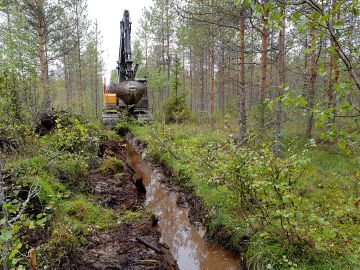 Syvyydeltään noin puolimetriset ojat pitävät pohjaveden riittävän syvällä puustoisilla ojitusalueilla. (Kuvaaja: Jani Anttila)