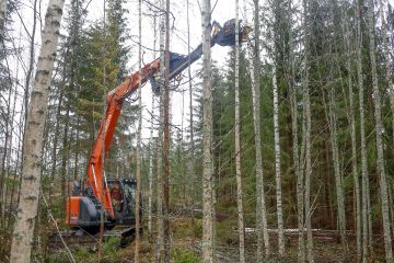 Hoidetuille ja hoitamattomille metsille tulee suosituksiin erilaiset korjuuvaihtoehdot, joita esitellään esimerkkien kautta. Myös korjuun laatuun kiinnitetään tulevissa suosituksissa aiempaa enemmän huomiota. (Kuvaaja: Sami Karppinen)