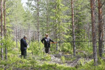 Metsäkeskuksen metsäneuvoja Kari Turunen (vas.) ja elinkeinopäällikkö Matti Virkkunen mittasivat erillisselvitykseen valikoituneen ensiharvennusmännikön korjuujälkeä kesällä 2022 Uuraisilla. Metsäkeskuksen mittaukset perustuivat osin dronemittauksiin ja tuloksia on kyseenalaistettu laajasti. (Kuva: Sami Karppinen)
