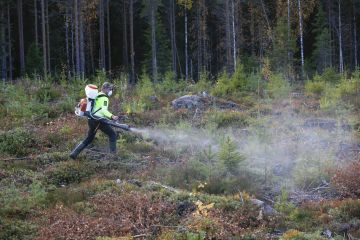 Metsälehden kokeili Tricon ruiskuttamista viime syksynä  lupaavin tuloksin. (Kuvaaja: Sami Karppinen)