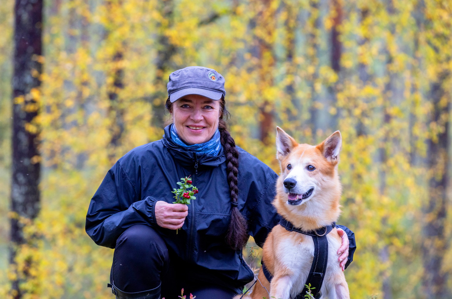 Marjanpoiminnassa riittää valvojia, mutta mikä aiheuttaa pulmia?