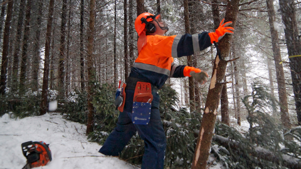 Mediasta puuttuu puunkaatajien ajatukset, Anna-Stina Nykänen arvioi Metsämiesten Säätiön juhlatilaisuudessa. (Kuva: Mikko Riikilä)