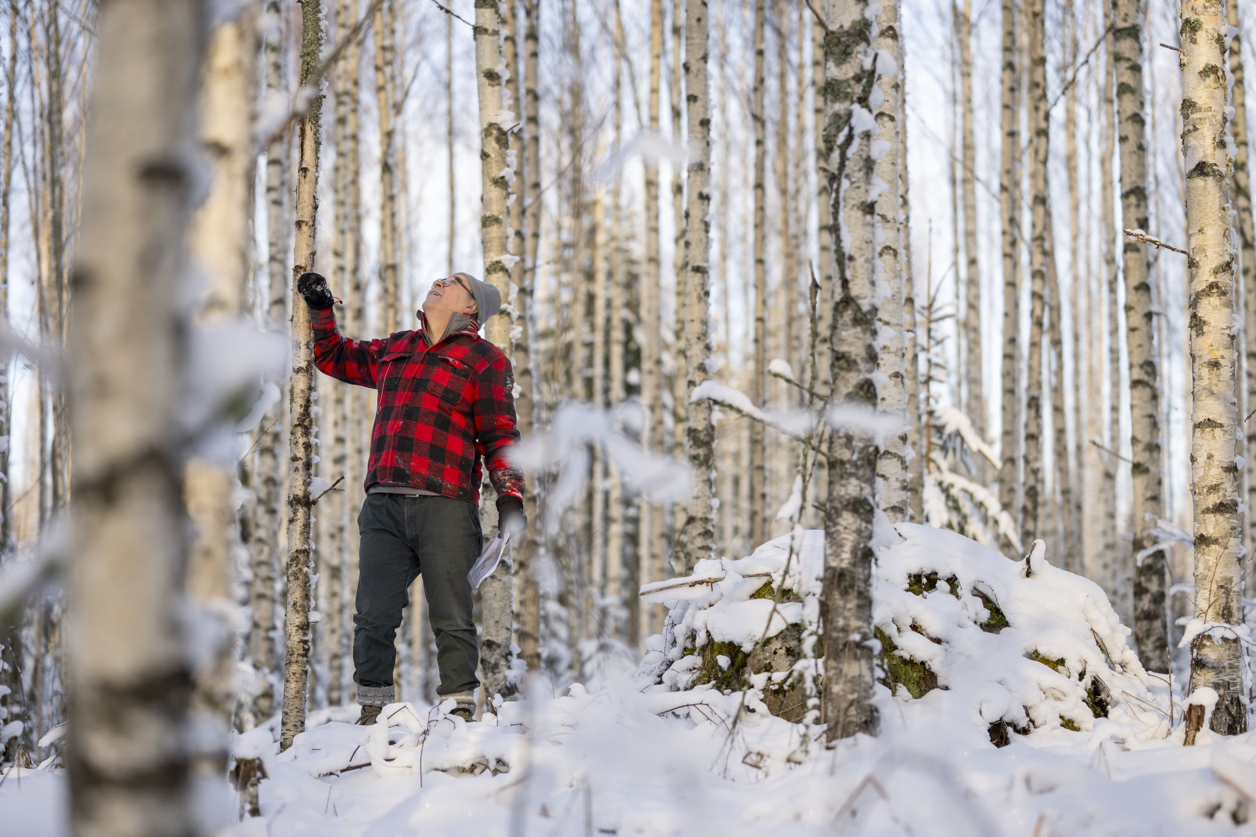 Tämä on minulle eräänlainen koeala, Veikko Karhulahti sanoo. Tavoitteena on saada kolme satoa kahdesta eri käävästä.  (Kuvaaja: Vesa-Matti Väärä)