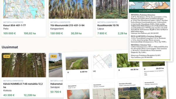 Samanlaisille metsätiloille voidaan arvioijasta riippuen antaa hyvinkin erilaiset hinta-arviot.