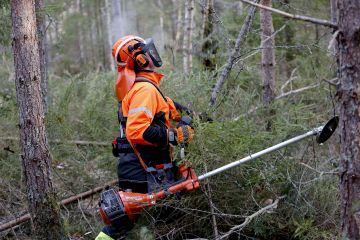 Pohjoisen Keski-Suomen ammattiopiston opiskelija Juho Paananen tykästyi 3M-Peltorin ergonomiaan ja äänenlaatuun. Raivuuseen vauhtia toi tällä kertaa Spotifyn musiikkitarjonta. 3M-Peltoreissa on mikrofonit, joiden kautta sahaaja kuulee halutessaan ympäristön äänet. Osa 3M-Peltorin ominaisuuksista on käytettävissä myös sovelluksen kautta. (Kuvaaja: Sami Karppinen)