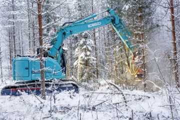 Tällaisella kohteella puun myyntitulot kattavat korjuun kustannukset ja metsänomistajalle voi jäädä hieman puun myyntitulojakin. (Kuvaaja: Sami Karppinen)
