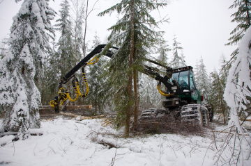 Vaikka nyt on hyvä talvi puunkorjuun kannalta, niin Etelä-Suomessa talvi on aina liian lyhyt, leimikon välittäneestä metsänhoitoyhdistyksestä kerrotaan. Kuva ei liity kauppaan. (Kuva: MIkko Riikilä)