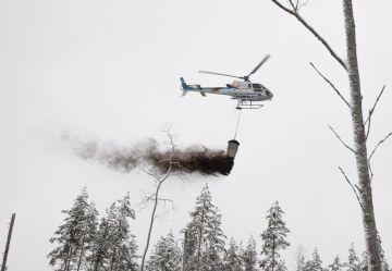 Green Carbon Oy lupasi vuonna 2022 tehdyssä tuhkalannoituksessa kompensaatiota 40 euroa hehtaarille vuodessa kymmenen vuoden ajan. Toisin on käymässä. (Kuva: Mikko Riikilä)