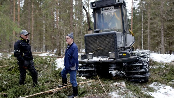 Haapaveden yhteismetsän puheenjohtaja Markku Anttila (oik.) ja hakkuukoneyrittäjä Tuomo Seppälä vaihtoivat ajatuksia harvennusvoimakkuudesta ja keliolosuhteista Haapaveden Mieluskylällä metsänhoitoyhdistyksen korjuupalvelun harvennusleimikolla. (Kuvaaja: Sami Karppinen)