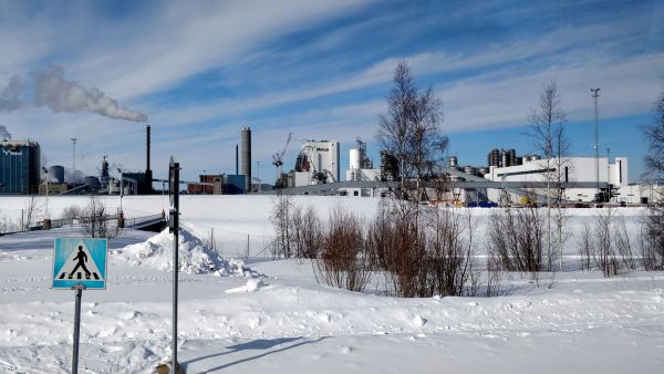 Lakkoilu vaikeuttaa myös raakapuun saatavuutta. Metsä Group pysäytti Kemin-tehtaat puutavaran rautatiekuljetusten keskeytymisen vuoksi. (Kuvaaja: Mikko Häyrynen)