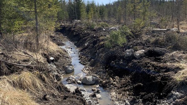 Metsälehden ely-keskuksille tekemien kyselyiden perusteella uudisojituksista tehdään vähän ilmoituksia. Kuvituskuva ei ole Pielaveden avosuolta. (Kuva: Tiia Puukila)