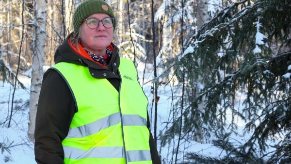 Anna-Maija Savinaiselle perheen metsät ovat tärkeitä ja merkityksellisiä.