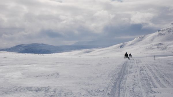 Moottorikelkoilla ajaminen maastoliikenteeseen tarkoitettujen urien ulkopuolella ilman maanomistajan lupaa on laitonta, Metsähallitus muistuttaa. Kuva ei liity uutisessa kerrottuun tapaukseen. (Kuva: Sauli Salmela/Metsähallitus)
