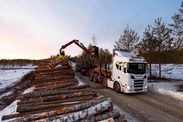 Keskihintojen taakse jää suurta hintavaihtelua. Esimerkiksi tien läheisyys sekä ajallaan tehdyt hoitotoimet nostavat yleensä puusta maksettua hintaa.  (Kuvaaja: Sami Karppinen)