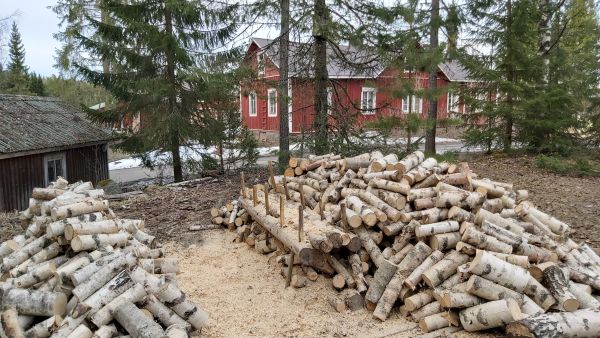 Metsänomistuksen keväisiä iloja, polttopuusavotta oman metsän puista. Kuva: Hannu Liljeroos