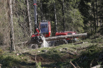 Puunhinnat jatkavat edelleen nousuaan. Kuva ei ole jutun leimikolta. (Kuvaaja: Sami Karppinen)