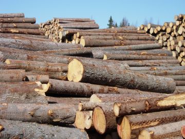 Pelkästään eteläisessä Ruotsissa pula tukkipuusta on muutaman vuoden kuluttua viisi miljoonaa kuutiometriä, Treebula-verkkopalvelun talousjohtaja Per Hedberg arvioi. (Kuva: Mikko Häyrynen)