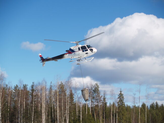 Terveyslannoituksen tuki on kiinnostanut metsänomistajia. (Kuva: Metsäkeskus)
