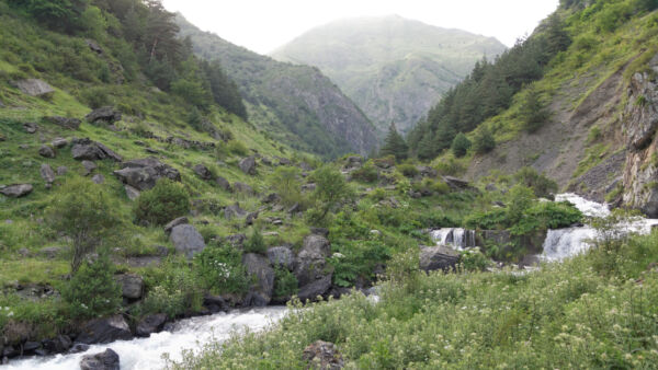 Georgian pinta-alasta noin 40 prosenttia on metsää. Ennen viime vuotta Georgiasta ei tuotu Eurooppaan juurikaan koivuvaneria. (Kuvaaja: Vyacheslav ArgenbergWikimedia Commons)