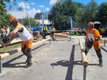Moottorisahauksen SM-kisat järjestettiin Savonlinnassa ja Punkaharjulla. Suomen mestaruus ratkesi karsintapaikalla. (Kuva: Risto Mykkänen)
