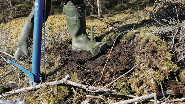 (Kuva: Sami Karppinen)
