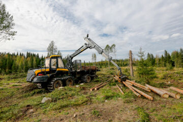 Kuusitukin kantohinta laski 83,33 euroon kuutiolta. (Kuva: Sami Karppinen)
