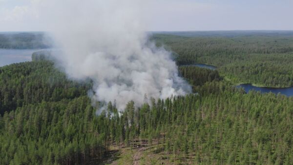   Ilmaston lämpenemisen ennustetaan lisäävän metsäpaloja. (Kuvaaja: MML/Teemu Hakala)