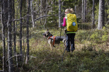 Vapaaehtoisen pelastuspalvelun etsintäharjoitukset Simossa. (Kuva: Suomen Punainen RistiTimo Heikkala)  