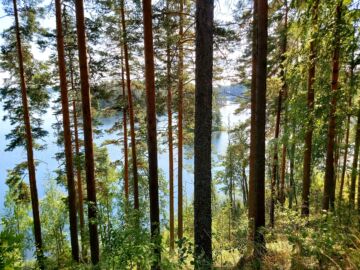 Kuva: Hannu Liljeroos