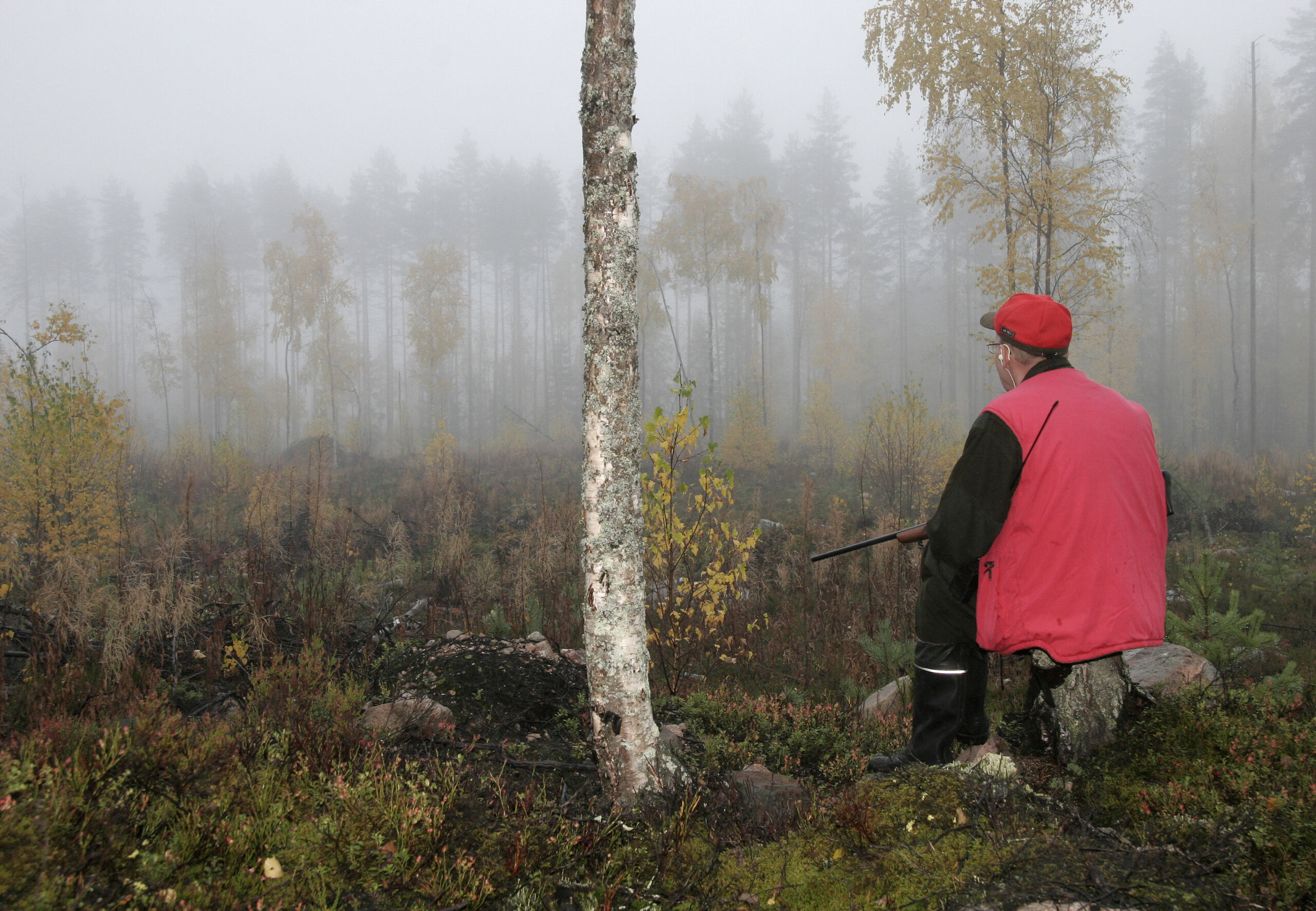 Maanomistaja päättää metsästyksestä – vuokraus yleisintä