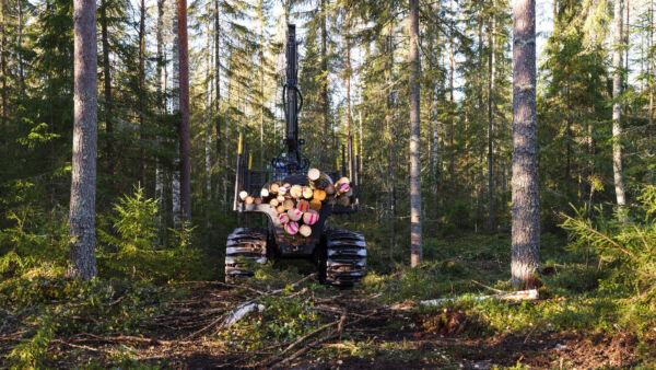  (Kuvaaja: Petteri Kivimäki)