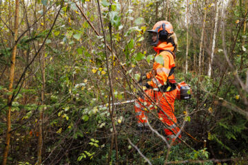 Metsänomistajat tietävät, että taimikonhoito kannattaa – mutta onko näin myös teoriassa? (Kuvaaja: Seppo Samuli)