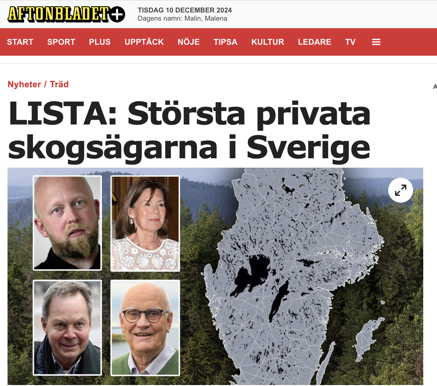 Suomen suurmetsänomistajat kalpenevat ruotsalaisten rinnalla