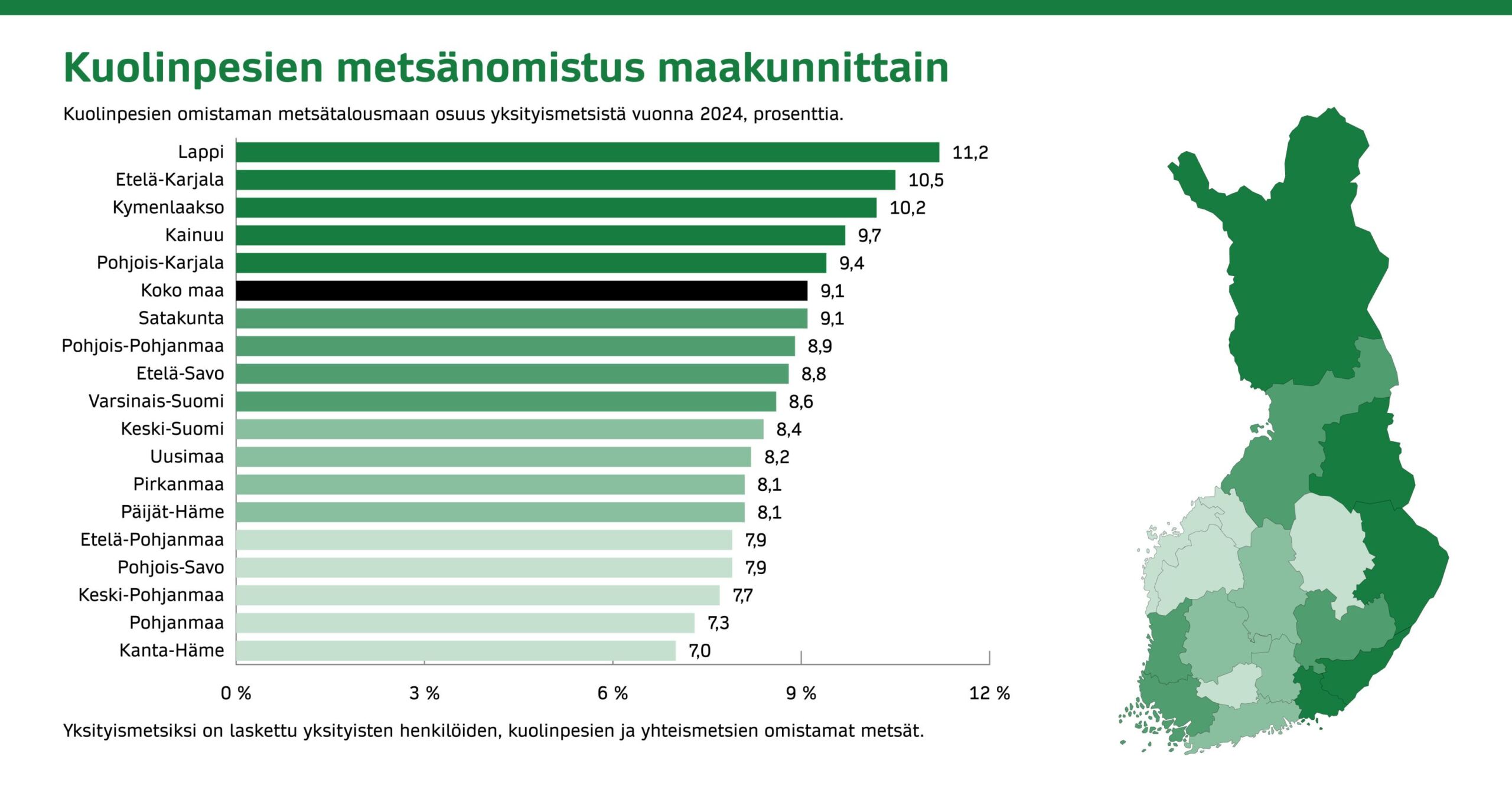 Kuolinpesissä yhdeksän prosenttia metsistä – päätöksenteko hidastuu