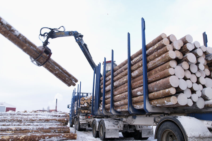 Metsäyhtiöt ovat laskeneet varastotasojaan, joten niillä on todellinen tarve saada puut metsästä pois. Yllättäen alkanut ja todennäköisesti pitkäkestoinen kelirikko vähentää puukuljetusten määrää kuitenkin selvästi. (Kuvaaja: Mikko Riikilä)