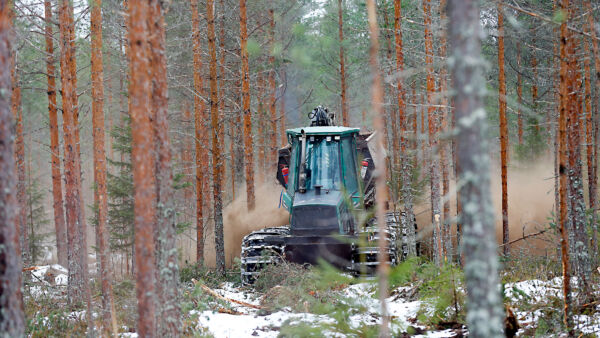 Tuhkalannoitetta levitetään joko maasta käsin tai helikopterilla. Irtotuhkan maalevitys on edullista ja tuo hyvän kasvunlisäyksen. (Kuvaaja: Sami Karppinen)