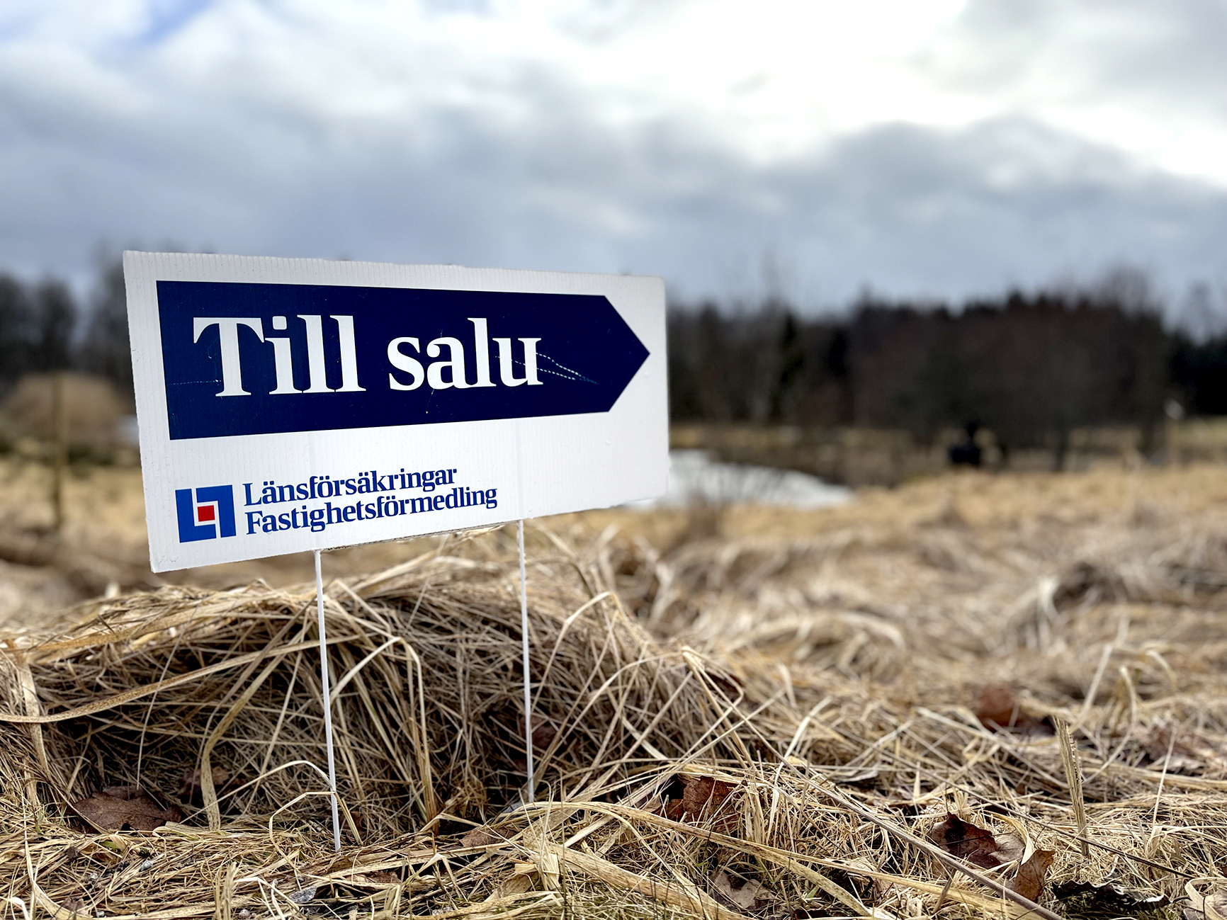 Metsätilabuumi on ohi Ruotsissa, hinnat pudonneet pohjoisessa
