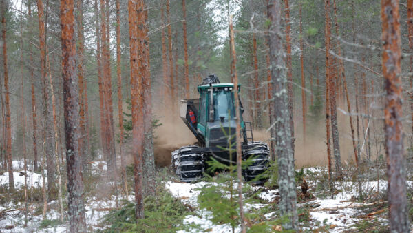 Metsänomistajan keinot todentaa lannoituksen todellinen vaikutus ovat kehnot, Mikko Riikilä kirjoittaa. (Kuvaaja: Sami Karppinen)