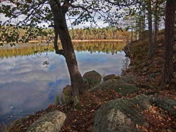 Ympäristöministeriön soveltamisohjeen mukaan maisematyölupavaatimus tulee olla erikseen määrätty ranta-asemakaavassa. (Kuva: Harri Hedman/Wikimedia Commons)