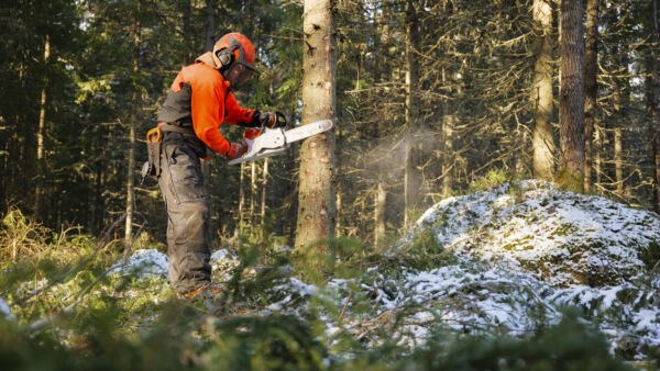 Kymmenessä vuodessa akkusahojen myynti on moninkertaistunut. (Kuva: Seppo Samuli)