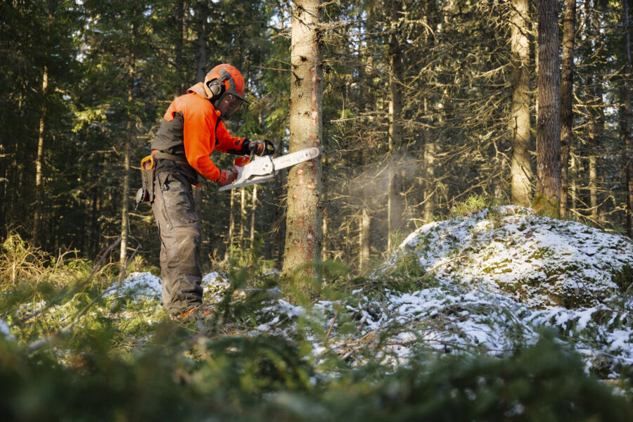 Kymmenessä vuodessa akkusahojen myynti on moninkertaistunut. (Kuva: Seppo Samuli)