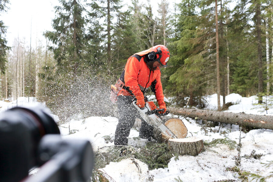 Leikkuuteholtaan Stihl MS 400.1 on kokoluokkansa paras. (Kuvaaja: sami karppinen)