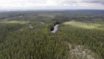 Kesän metsätilamarkkinoille on luvassa paljon tarjontaa. Ostajia kohteille on toistaiseksi riittänyt hyvin, ja tilojen hinnat ovat olleet hienoisessa nousussa.