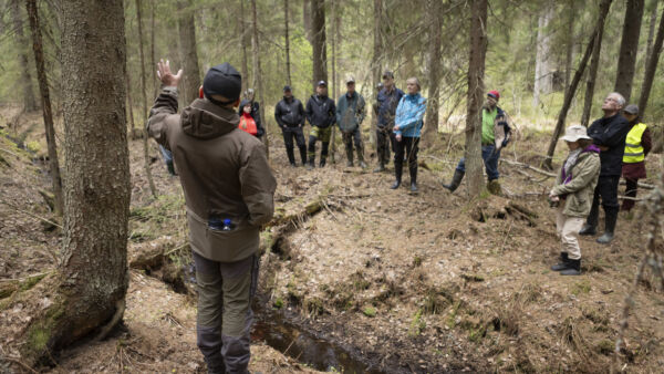 Kaivettu oja ei ole metsälakikohde, mutta Metso-suojelun kriteerit täyttävät tällä kohteella ongelmitta, kertoo Tihkupinta-yrityksen Lassi Hakulinen. Toukokuun puolivälissä järjestetty ympäristötukiretkeily keräsi viitisentoista metsänomistajaa Kuhmoisiin. (Kuvaaja: Laura Vesa)