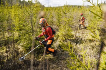 Paikoin metsurit ovat pystyneet urakoimaan läpi talven, minkä seurauksena osa alkavalle kaudelle suunnitelluista työmaista on jo tehty. (Kuva on kuvituskuva) (Kuvaaja: Seppo Samuli)