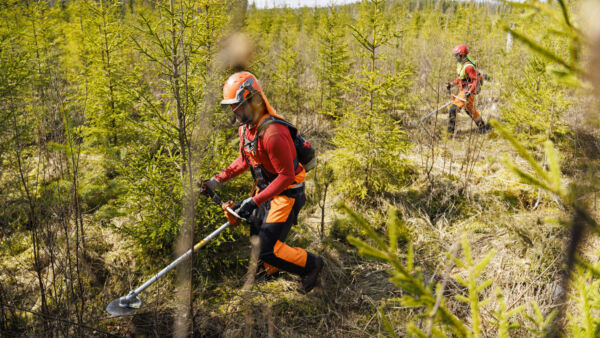 Paikoin metsurit ovat pystyneet urakoimaan läpi talven, minkä seurauksena osa alkavalle kaudelle suunnitelluista työmaista on jo tehty. (Kuva on kuvituskuva) (Kuvaaja: Seppo Samuli)