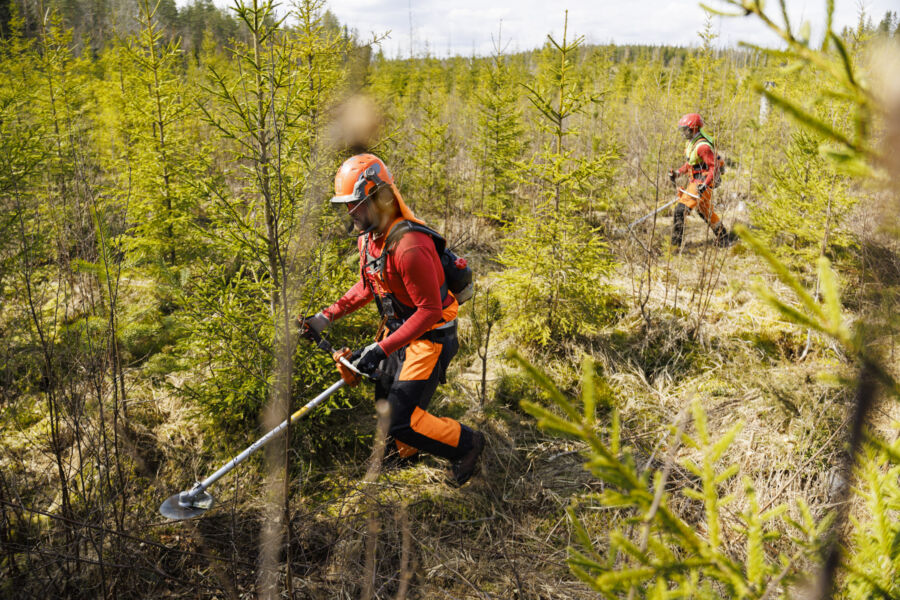 Paikoin metsurit ovat pystyneet urakoimaan läpi talven, minkä seurauksena osa alkavalle kaudelle suunnitelluista työmaista on jo tehty. (Kuva on kuvituskuva) (Kuvaaja: Seppo Samuli)