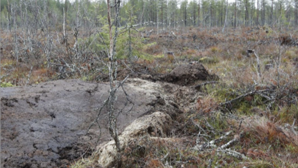 Soiden vedenpinnan aktiivinen nostaminen, josta on totuttu puhumaan ennallistamisena, on ennallistamisasetuksen termein vettämistä. Kuva: Sami Karppinen