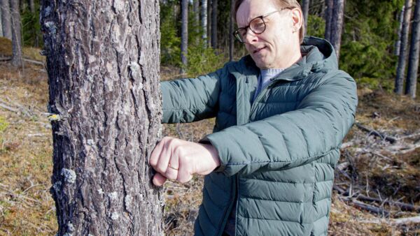 Eero Poikonen aloittaa Metsänhoitoyhdistys Etelä-Suomen johtajana ensi vuoden alussa.